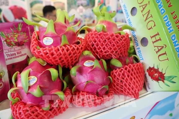 Xuất siêu nông lâm thủy sản tăng gấp gần 2,9 lần trong 2 tháng