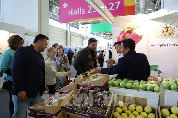 Bình Định hơn 800 gian hàng tham gia Hội chợ quốc tế hàng phong cách ngoài trời