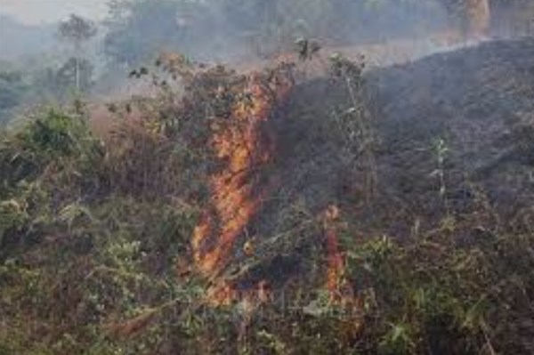 Kịp thời dập tắt vụ cháy gần 7ha nương rẫy tại Đắk Nông