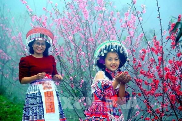 Dự báo thời tiết mùng 2 Tết Nguyên đán Giáp Thìn: Thời tiết thuận lợi để vui Xuân 