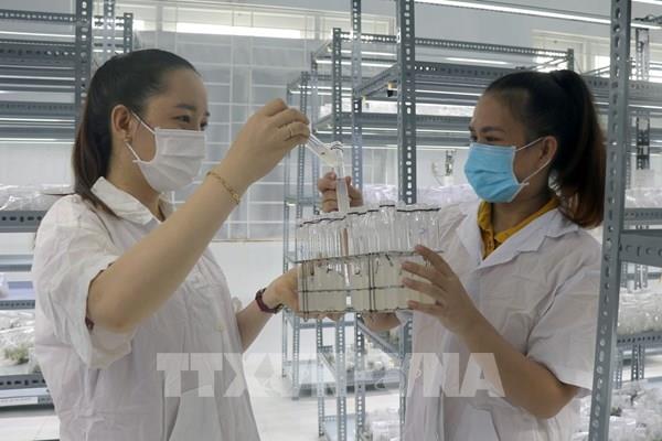 Không dễ đổi mới sáng tạo trong sản xuất nông nghiệp