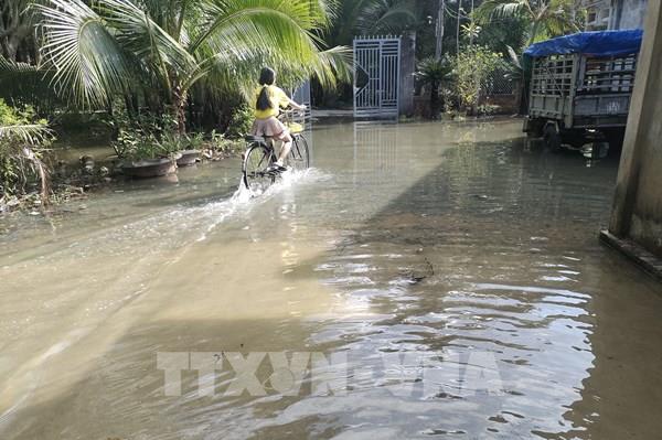 Bảo vệ sản xuất nông nghiệp trước tác động của triều cường