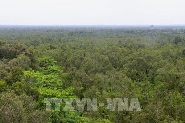 Sớm hoàn thiện pháp lý cho thị trường tín chỉ các-bon