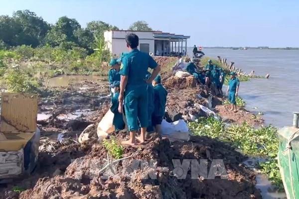 Vĩnh Long khắc phục sạt lở tại cồn Thanh Long