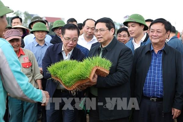 Thủ tướng Phạm Minh Chính xuống đồng cùng nông dân tỉnh Hải Dương