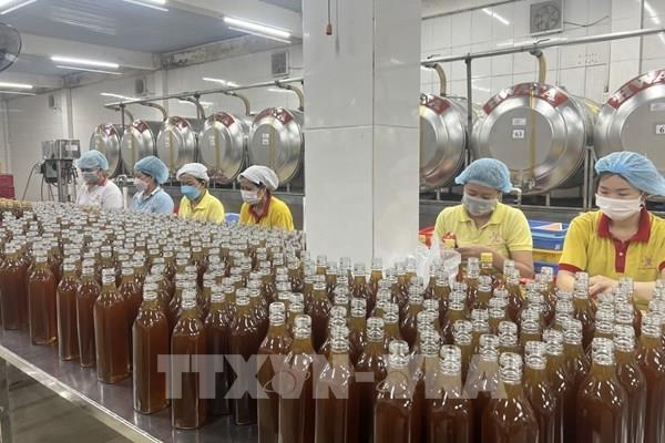 Doanh nghiệp ra quân sản xuất đầu năm: Đặt nhiều kỳ vọng vào năm mới