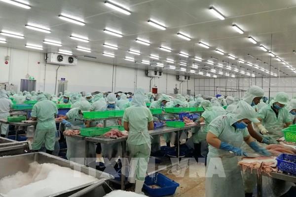 Đồng Tháp: Khoảng 95% công nhân trở lại làm việc sau kỳ nghỉ Tết