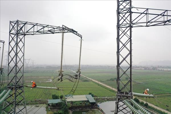 Truyền tải điện Ninh Bình ra quân thi công công trình trọng điểm 