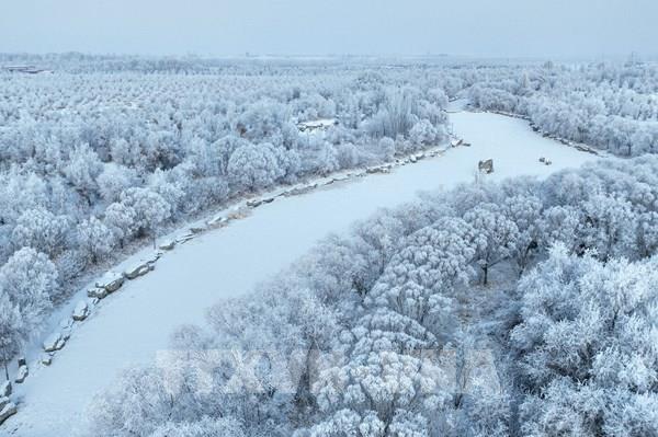 Vận tải đường sắt ở Tây Bắc Trung Quốc gián đoạn nghiêm trọng