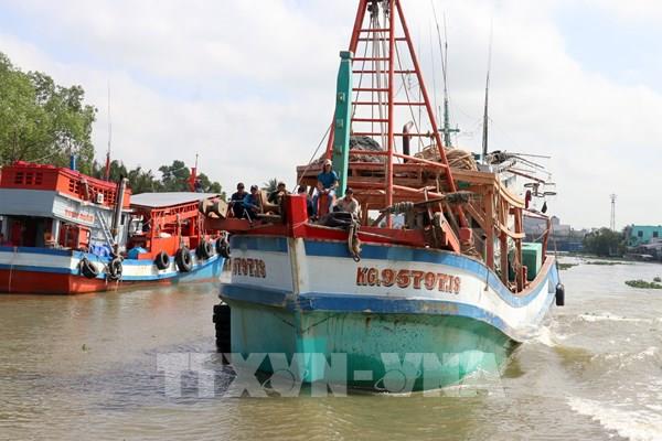 Ngư dân kỳ vọng chuyến biển đầu năm “thuận buồm xuôi gió”
