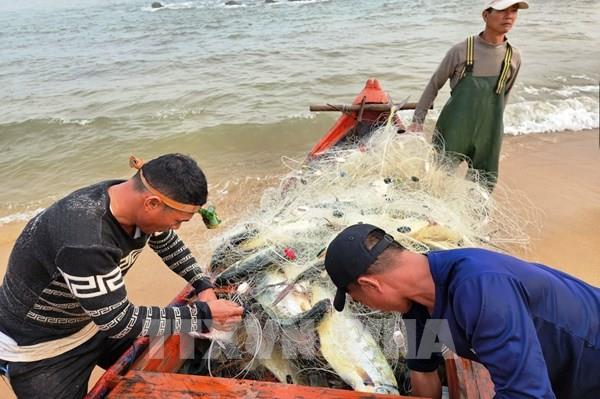Ngư dân Quảng Bình đón “lộc biển” đầu năm