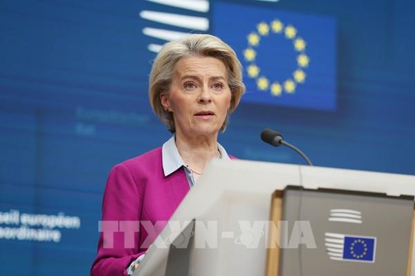 EU triển khai phái bộ bảo vệ tàu thuyền qua Biển Đỏ