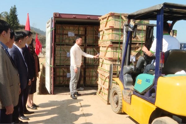 Hà Giang xuất khẩu container củ cải muối đầu tiên năm 2024 sang Nhật Bản