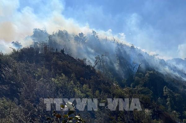 Thêm điểm cháy mới tại Vườn Quốc gia Hoàng Liên
