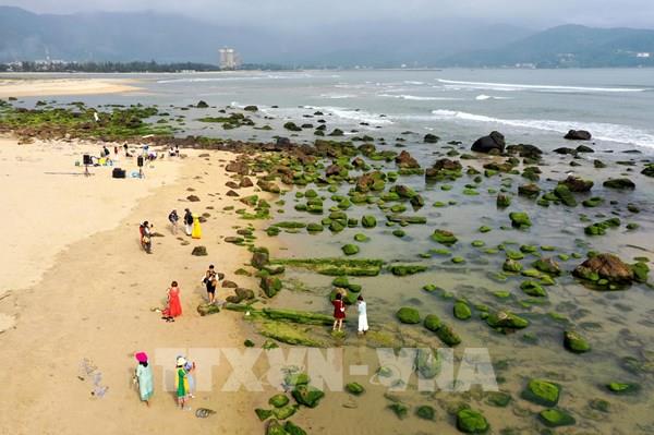 Việt Nam là điểm du lịch ưa thích của khách Trung Quốc trong đầu năm 2024