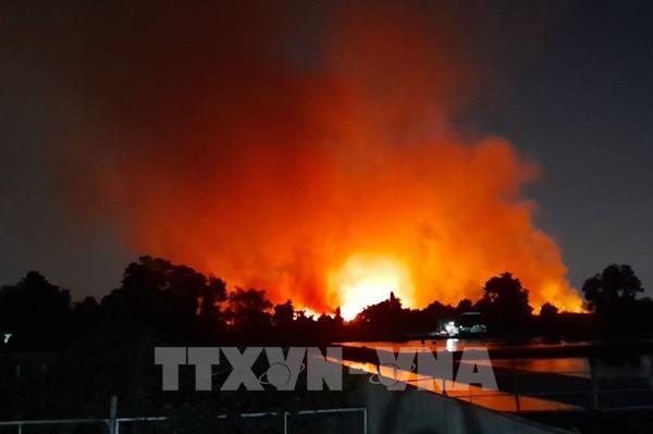 Bình Dương: Cháy tại khu dân cư chưa xây dựng hạ tầng, bỏ hoang nhiều năm