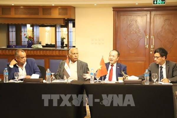 Doanh nghiệp Ai Cập tìm kiếm cơ hội kinh doanh tại Việt Nam