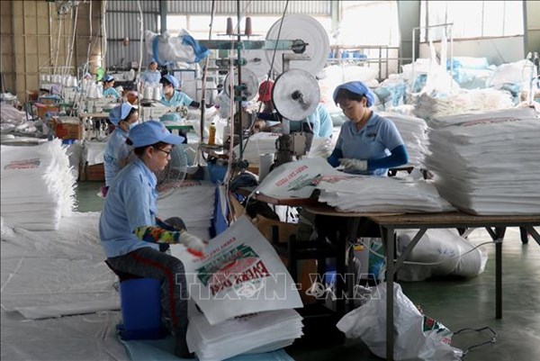 Giá trị sản xuất công nghiệp của Kiên Giang tăng gần 19%