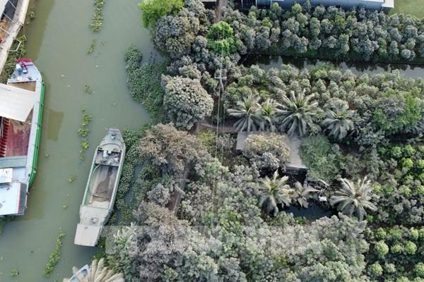 Khổ sở vì phải sống chung với bụi từ nhà máy xay xát lúa gạo