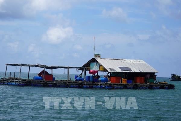 Kiên Giang đề ra kế hoạch nuôi cá lồng bè với quy mô 4.000 lồng