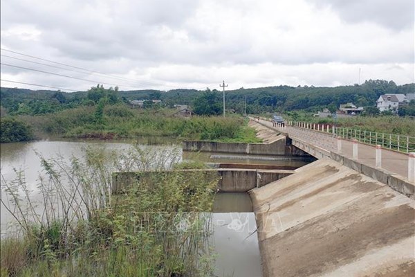 Lên phương án điều tiết, phòng chống khô hạn cho khoảng 1.500 ha cây trồng
