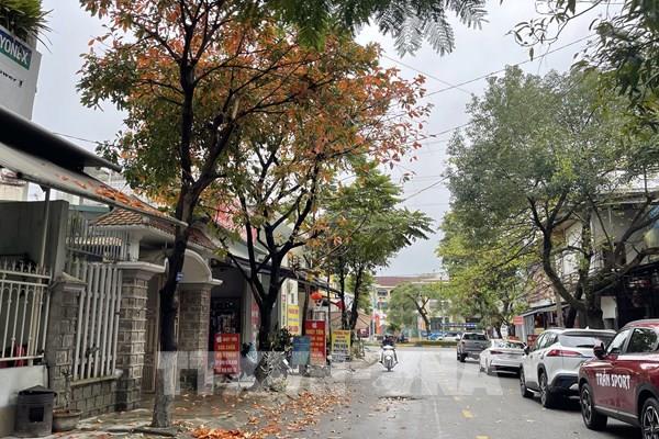 Thành phố Đông Hà ngừng vệ sinh vỉa hè nhiều tuyến phố do thiếu kinh phí
