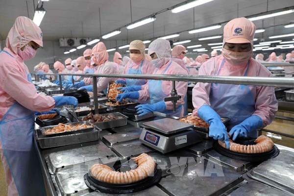 Doanh nghiệp cần làm gì để thích ứng biến động tỷ giá?