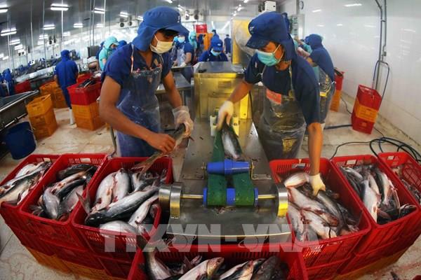 Quy định kích thước tối thiểu thủy sản được phép khai thác là cần thiết