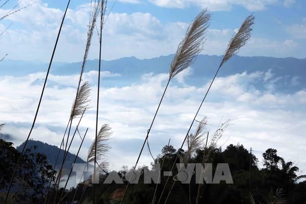 Điểm săn mây đẹp lung linh ở Lai Châu