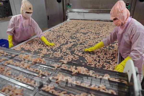 Khoa học công nghệ góp phần mở ra cơ hội cho xuất khẩu nông sản