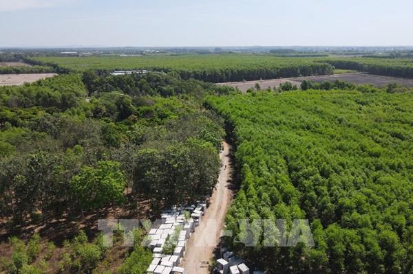 Phát triển thị trường carbon - Bài 1: Không thể chậm chân