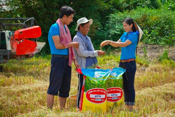 AGM thực hiện các giải pháp khắc phục diện chứng khoán bị cảnh báo