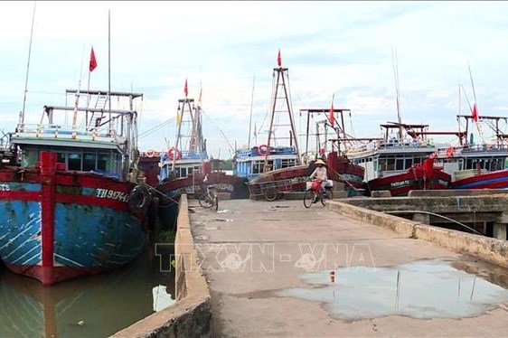 Khắc phục "thẻ vàng" IUU: Kiên quyết xử lý tàu cá "3 không"
