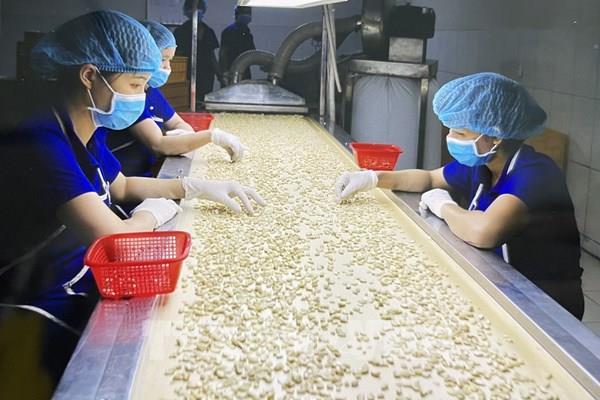 Hạt điều quyết giữ kỷ lục xuất khẩu