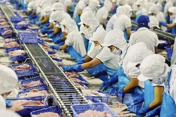 Vasep kiến nghị giữ nguyên thuế suất 0% cho dịch vụ xuất khẩu