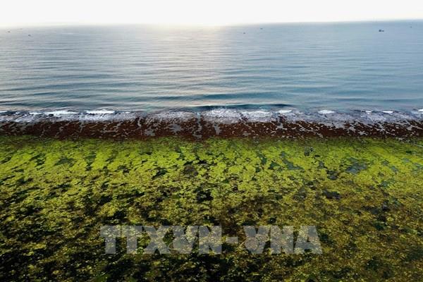 Những nét khác biệt, độc đáo của hệ sinh thái Ninh Thuận