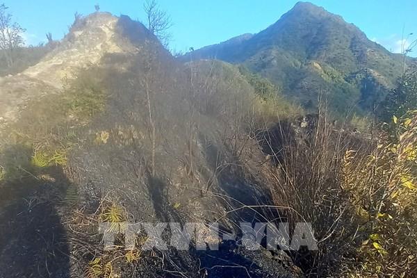 Gió Ô Quý Hồ trở lại, nguy cơ cháy rừng tại Sa Pa tăng