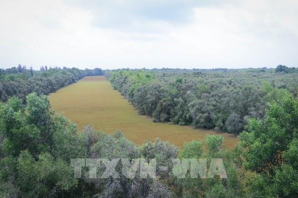 Mở rộng Khu Bảo tồn sinh thái Đồng Tháp Mười (Tiền Giang) thêm 244 ha