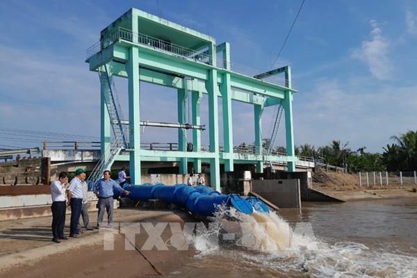 Nhiều diện tích lúa nguy cơ bị thiệt hại do hạn mặn xâm nhập