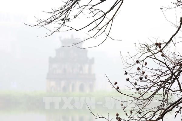 Hà Nội kiến tạo thị trường chuyển đổi số