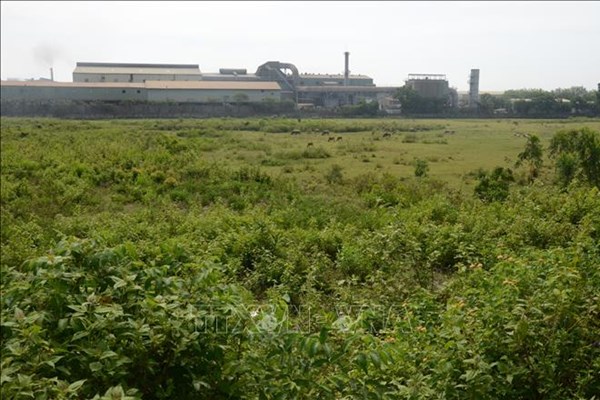 Tp Hồ Chí Minh sẽ có khu công nghiệp y -  dược tập trung đầu tiên của cả nước​