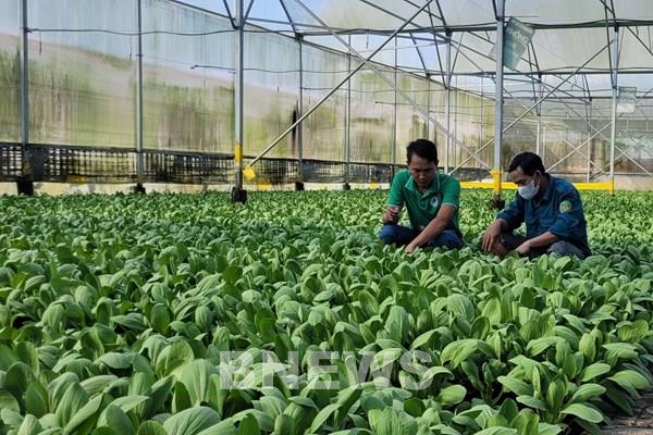 Nâng chất và khả năng cạnh tranh cho hợp tác xã từ ứng dụng công nghệ