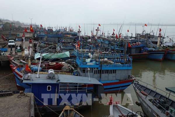 Khắc phục "thẻ vàng" IUU: Dùng biện pháp mạnh để giải quyết dứt điểm các tồn tại