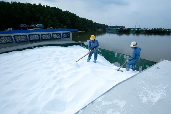 Phân bón Cà Mau gia nhập thị trường Australia và New Zealand