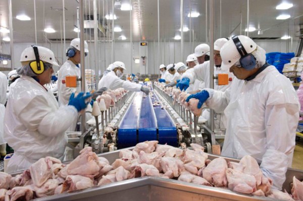"Ông lớn" chế biến thực phẩm Mỹ chuẩn bị sa thải hơn 1.000 lao động