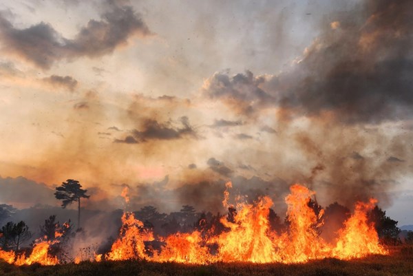 Cháy rừng thông trong đêm ở Lâm Đồng