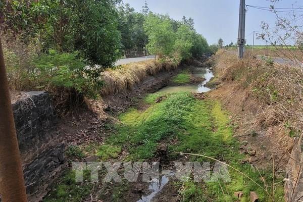Nông dân Bà Rịa-Vũng Tàu ngồi trên “đống lửa” vì nhiều nơi thiếu nước tưới