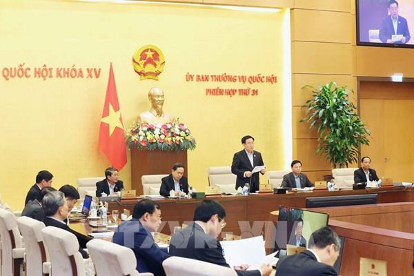 Phiên họp thứ 31 Ủy ban Thường vụ Quốc hội: Xử lý triệt để tình trạng bỏ cọc sau khi trúng đấu giá