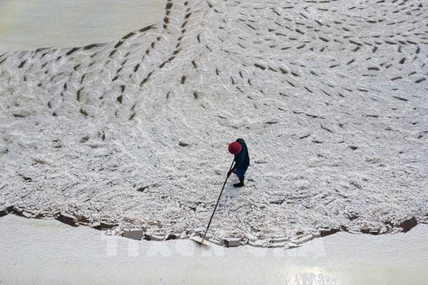 Nghề làm muối truyền thống ở Cà Mau
