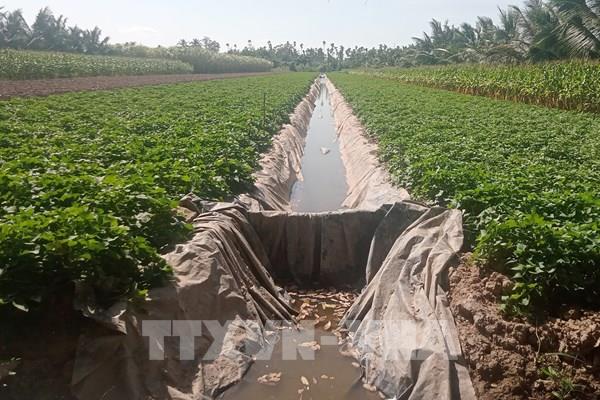 Sóc Trăng đề xuất đầu tư các cửa cống đầu nguồn lấy nước